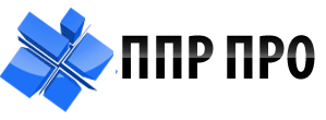 Логотип ППР ПРО